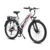 Электровелосипед WHITE SIBERIA CAMRY LIGHT 500W (матовый серебристый) — купить в Туле