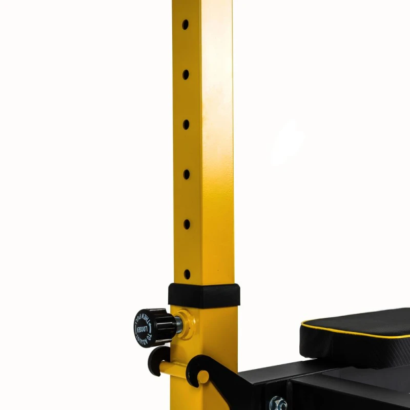 Турник-брусья DFC Power Tower G009C купить в Туле в магазине Artrelax