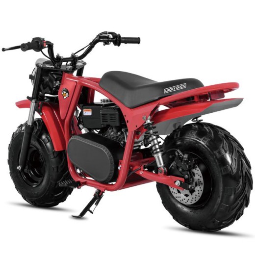 Минибайк Lucky Duck Ranger RB200 MAX красный — купить в Туле с рассрочкой в магазине электро- и мототранспорта