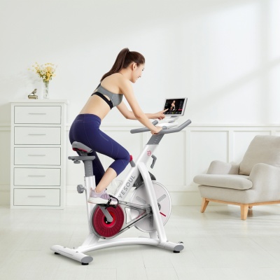 Велотренажер Yesoul BS3-W PRO для похудения
