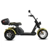 Электротрицикл Siberton Pro Trike 3950W 60V35A 12"