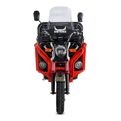 Электротрицикл WHITE SIBERIA SIBTRIKE CARGO 1500 кг 1.6