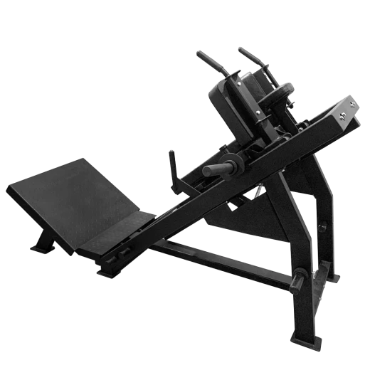 Гакк-присед BRONZE GYM PARTNER BGR-810 — тренажёр для ног, купить по выгодной цене