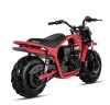 Минибайк Lucky Duck Ranger RB200 MAX красный — купить в Туле с рассрочкой в магазине электро- и мототранспорта