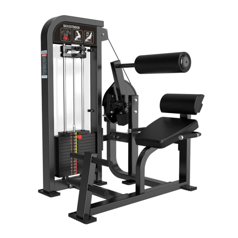 Разгибание спины Protrain CP121 — тренажёр для спины, купить в Москве
