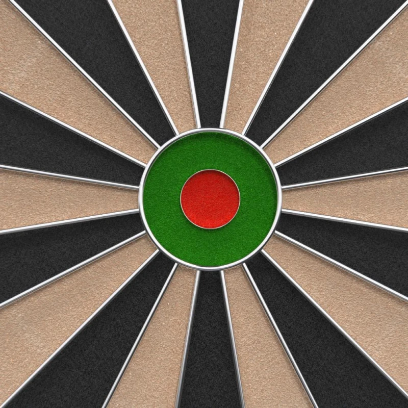 Мишень для дартса DFC SISAL купить в Туле в магазине
