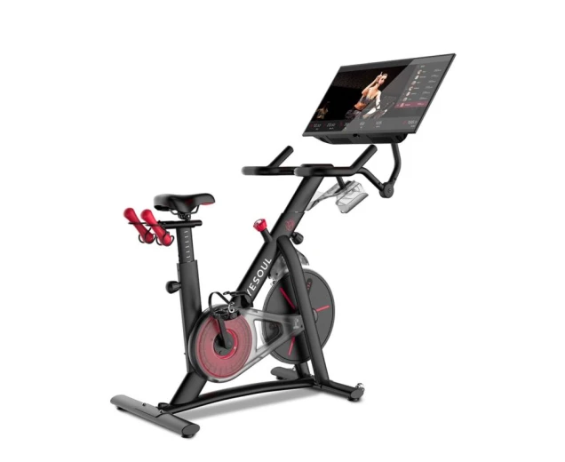 Велотренажер YESOUL Smart Spinning Bike G1MAX черный — купить в Туле