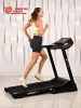 Беговая дорожка Titanium Masters Physiotech TBM купить в Туле