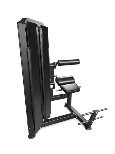 Разгибание спины BRONZE GYM PARTNER ML-813 – профессиональный тренажер
