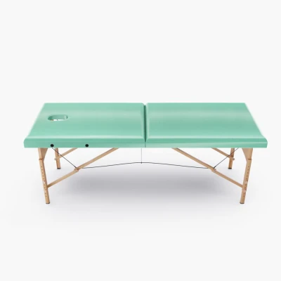 Массажный стол DFC NIRVANA Relax, (Optima) 186 x 60 см, зелёный