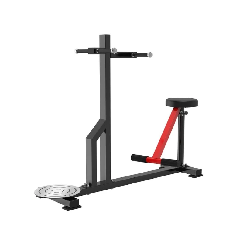Станция для торса Protrain PP195 — купить в Туле в магазине тренажеров ArtRelax