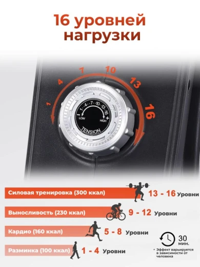 Гребной тренажер DFC ECHANFIT складной — купить в Туле в магазине тренажеров