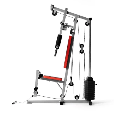 Силовой комплекс DFC HomeGym D7000 со стеком 45 кг — купить в Туле в магазине тренажеров