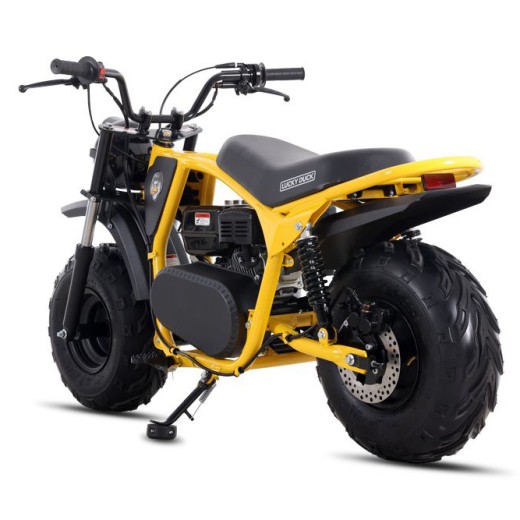 Минибайк Lucky Duck Ranger RB200 MAX жёлтый — купить в Туле в магазине электро- и мототранспорта, рассрочка