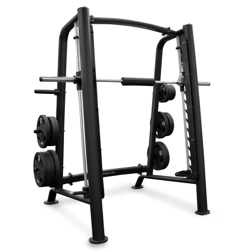 Машина Смита профессиональная BRONZE GYM PL-1721 — купить по выгодной цене