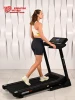 Беговая дорожка Titanium Masters Physiotech TCA купить в Туле
