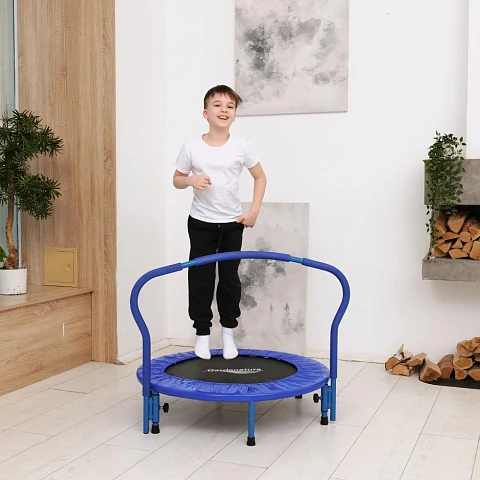 Батут с поручнем DFC Gardenature 36'' синий