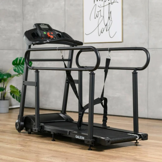 Беговая дорожка Orlauf Galeon купить в Туле
