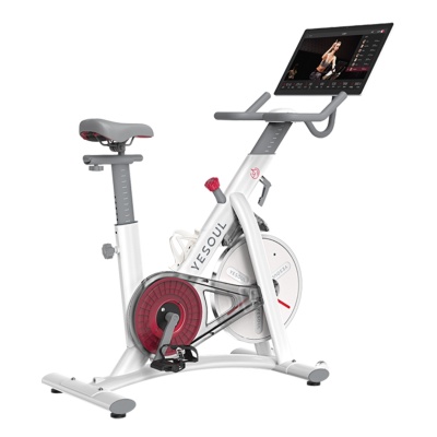 картинка Велотренажер Yesoul BS3-W PRO PLUS от магазина trenager71.ru в Туле