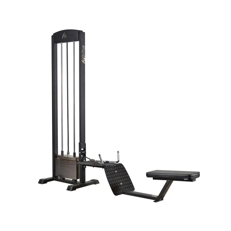 Нижняя тяга Gymleco 210