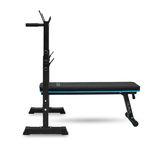 Силовая скамья многофункциональная домашняя OXYGEN FITNESS TAURUS — купить в Туле в магазине тренажеров ArtRelax
