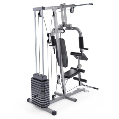 Силовой комплекс DFC HomeGym D7001-60 (стек 60 кг) — купить в Туле в магазине тренажеров