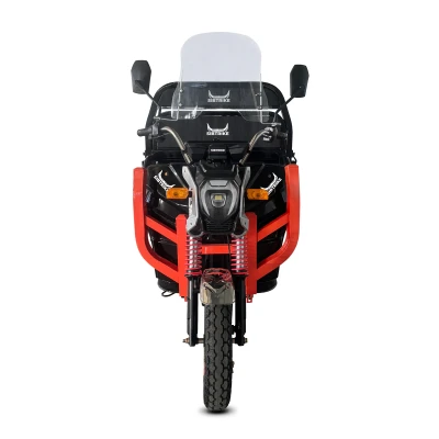 Электротрицикл WHITE SIBERIA SIBTRIKE CARGO 1000 кг 1.5