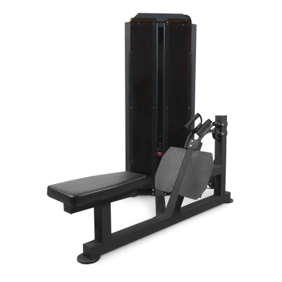 Горизонтальная тяга BRONZE GYM PARTNER ML-807 — профессиональный тренажер для спины