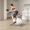 Велотренажер YESOUL Smart Spinning Bike V1 черный — купить в Туле