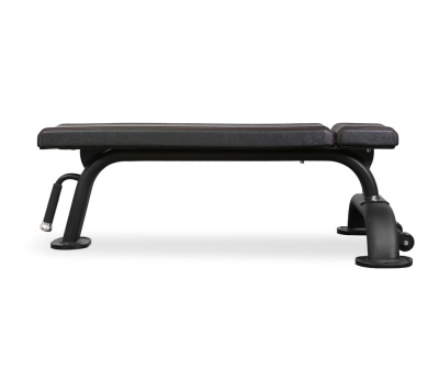 Скамья горизонтальная профессиональная BRONZE GYM BR-1002
