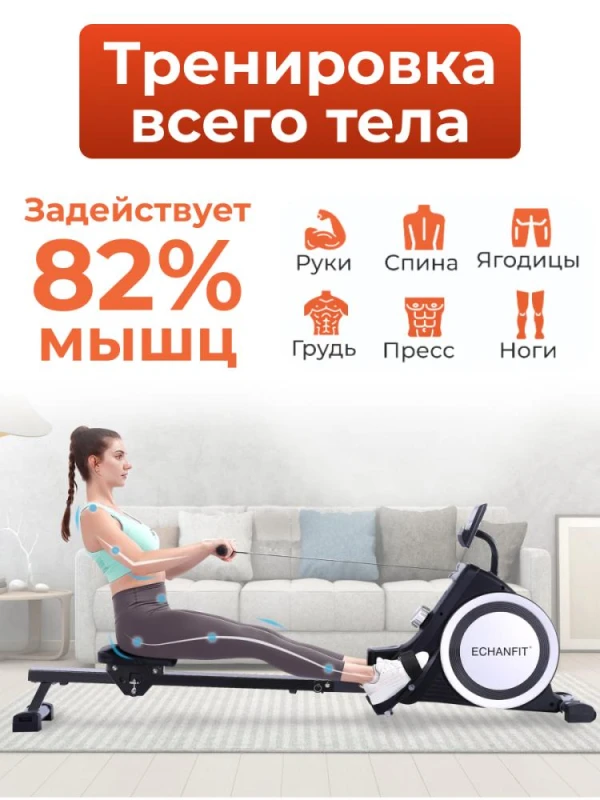 Гребной тренажер DFC ECHANFIT складной — купить в Туле в магазине тренажеров