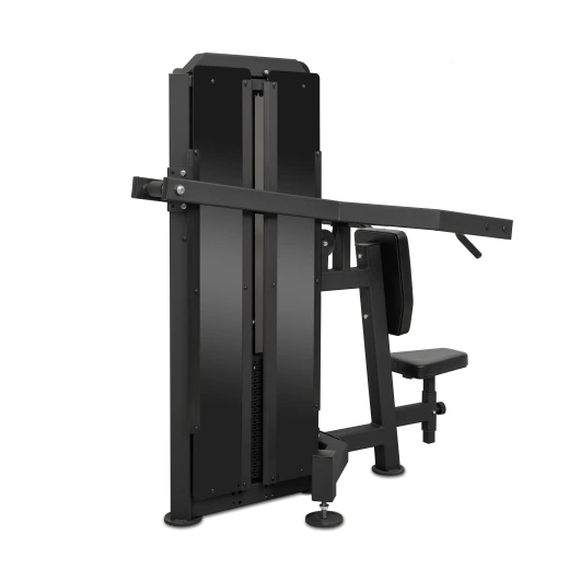 Жим от плеч BRONZE GYM PARTNER ML-809 — профессиональный тренажер