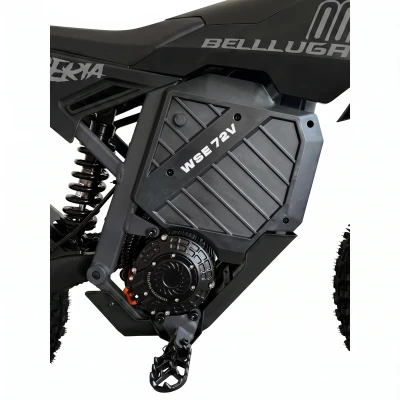 Электромотоцикл WHITE SIBERIA BELLLUGA 02 6000W (Чёрный)