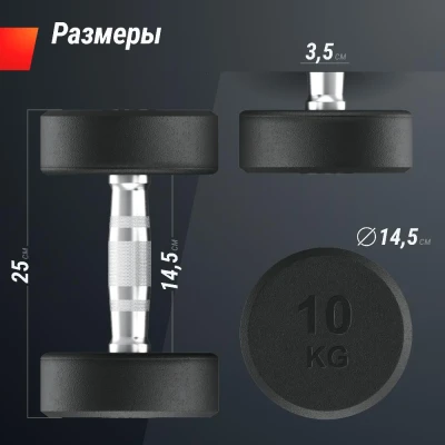 Гантель UNIX Fit PRO круглая обрезиненная 10 кг, 2 шт.